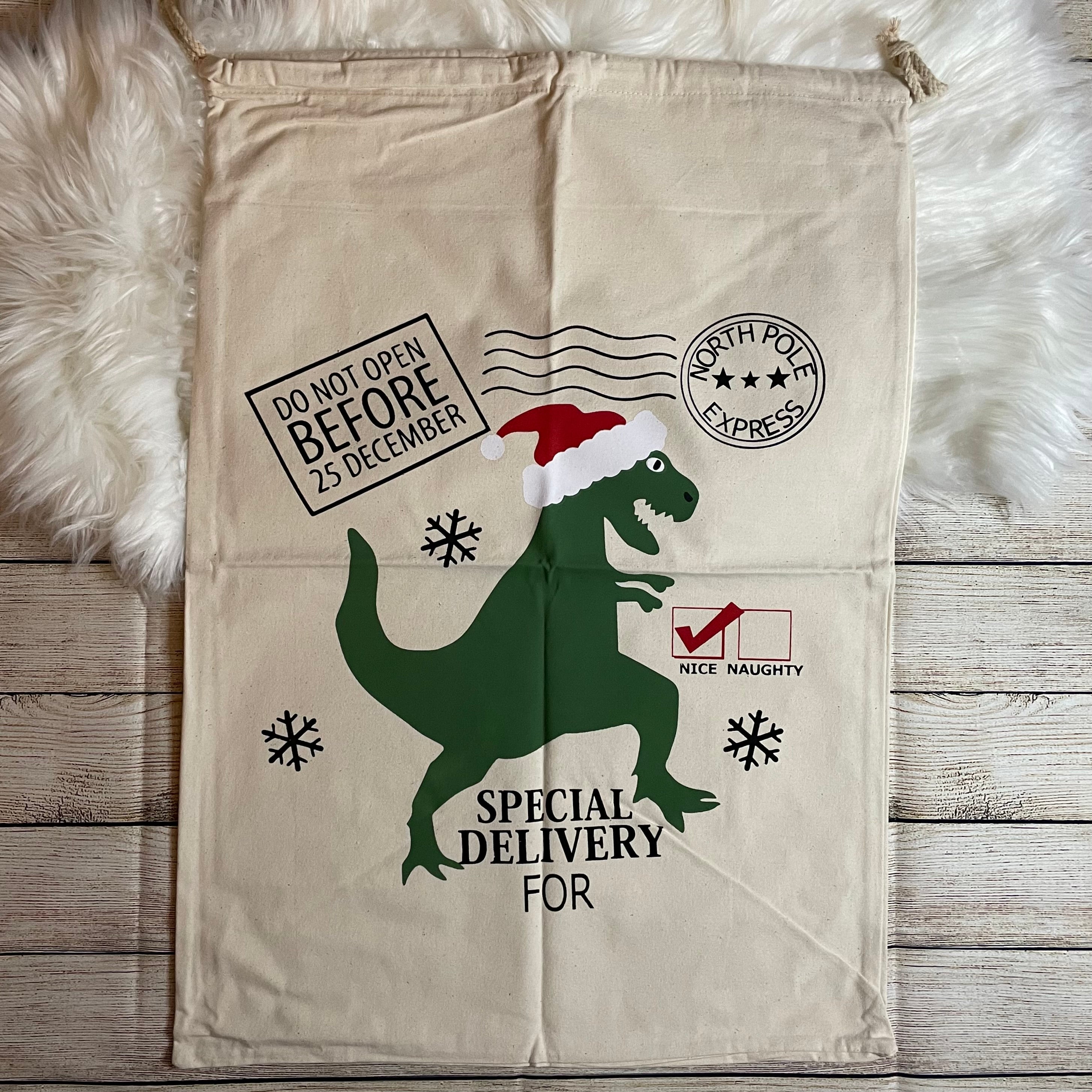 Santa Sac Dinosaur special delivery